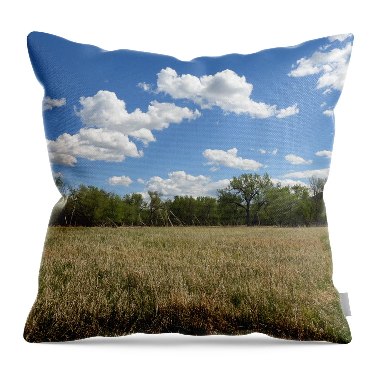 Meadow Throw Pillow featuring the photograph Clouds Over The Meadow by Amanda R Wright