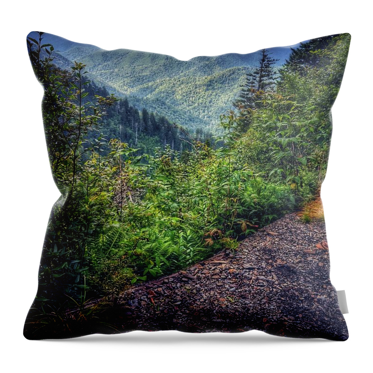 Photo Throw Pillow featuring the photograph Clouds over the Smokies by Evan Foster