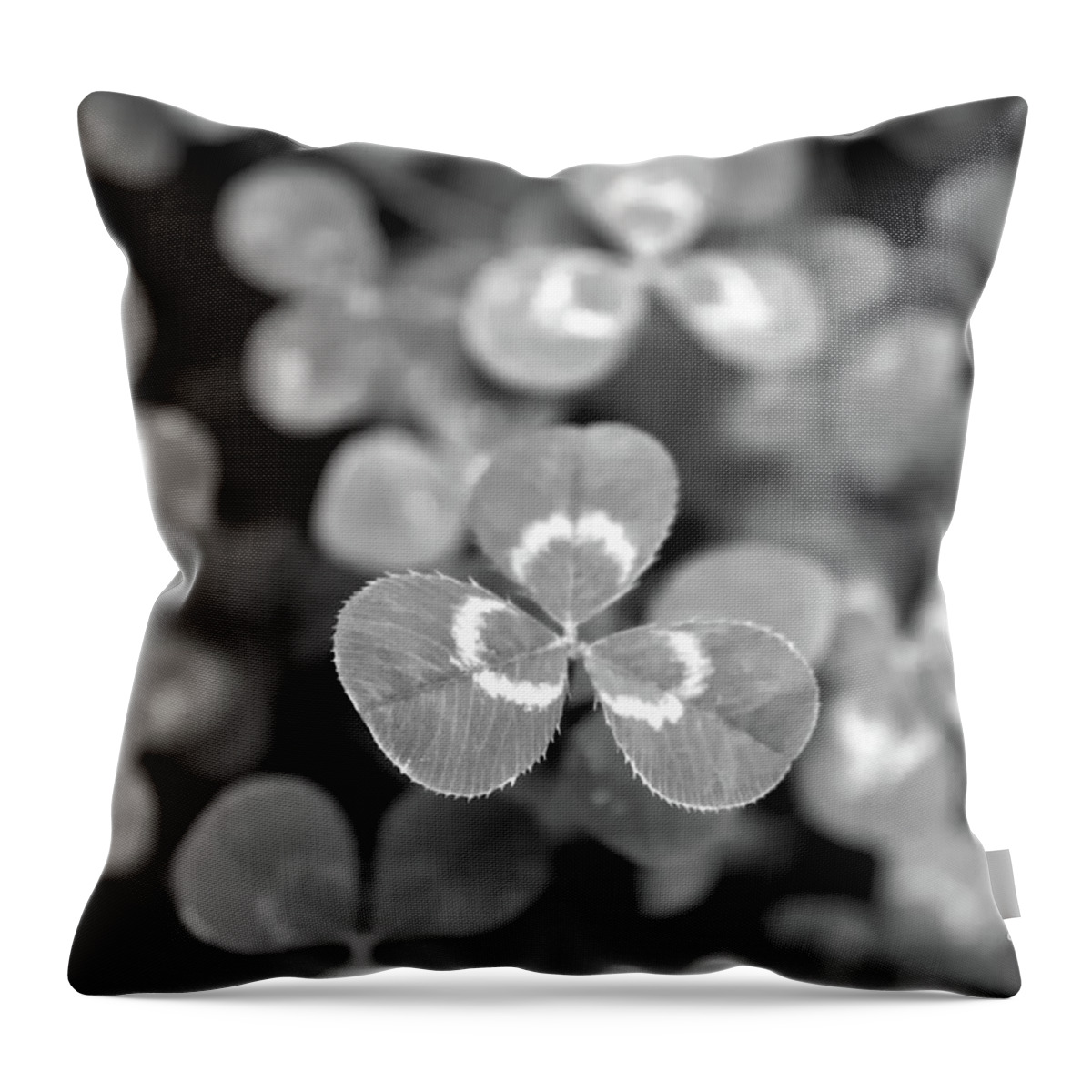Clover Throw Pillow featuring the photograph Clover Black and White by Christina Rollo