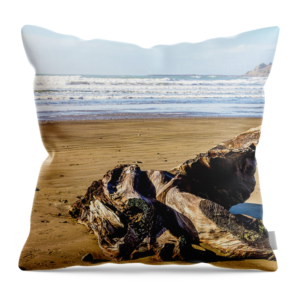 Landscape Throw Pillow featuring the photograph Coast Of Oregon-3 by Claude Dalley