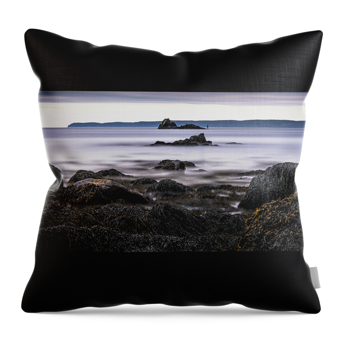 Rockweed Laden Throw Pillow featuring the photograph Coastal Outcrops At Quoddy by Marty Saccone
