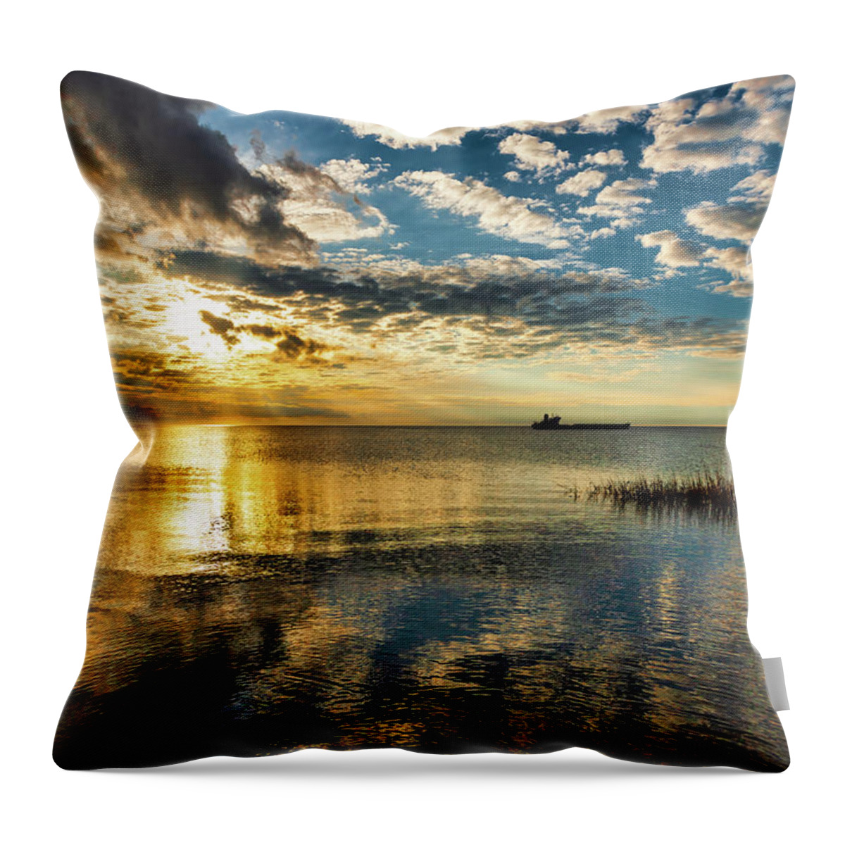 Beach Throw Pillow featuring the photograph Coastal Sunset 606 by Dan Carmichael