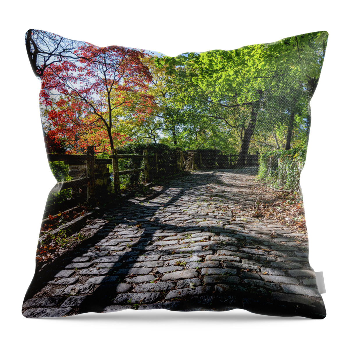Autumn Throw Pillow featuring the photograph Cobblestones in Autumn by Kevin Suttlehan