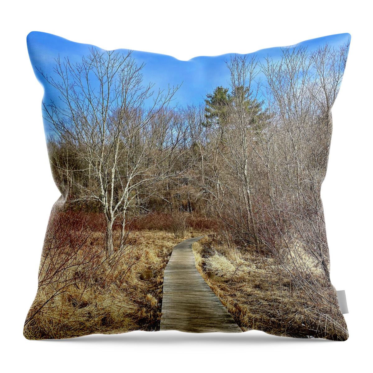 Cold Throw Pillow featuring the photograph Cold Harbor Trail by Monika Salvan