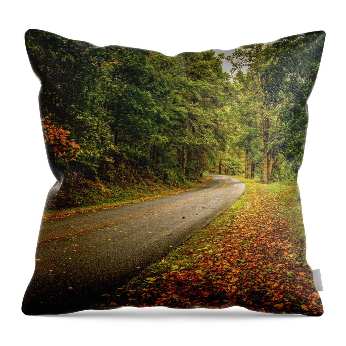 'blue Ridge Parkway' Throw Pillow featuring the photograph Color Carpet by Deb Beausoleil