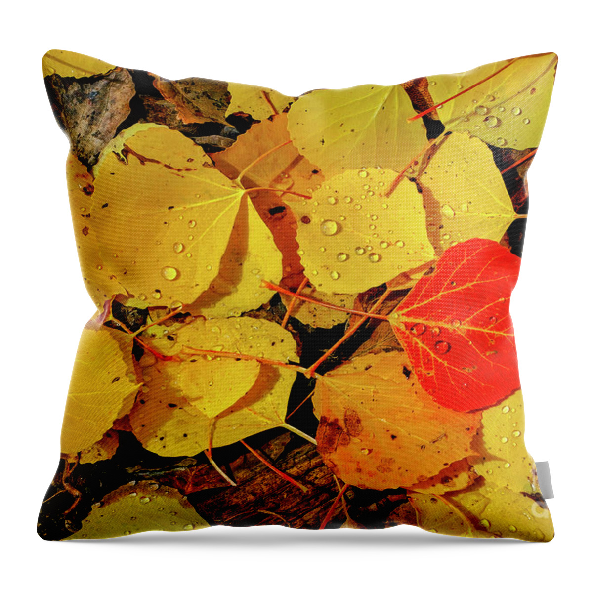 San Juan Mountains Colorado Throw Pillow featuring the photograph Red and Yellow by Bob Phillips