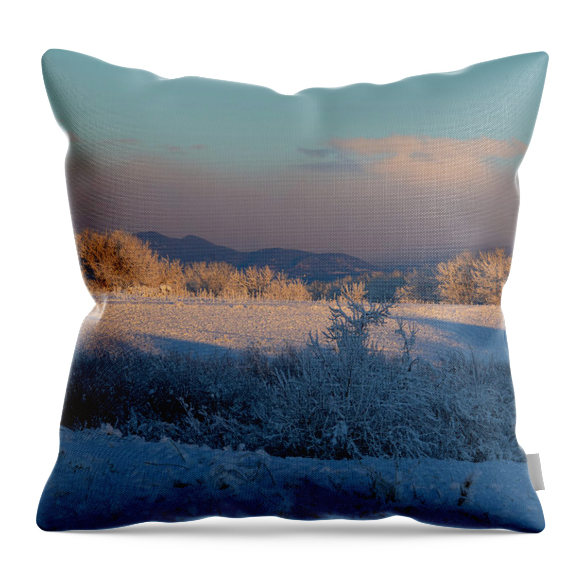 Colorado Throw Pillow featuring the photograph Colorado Sunrise with Foothills by Cascade Colors