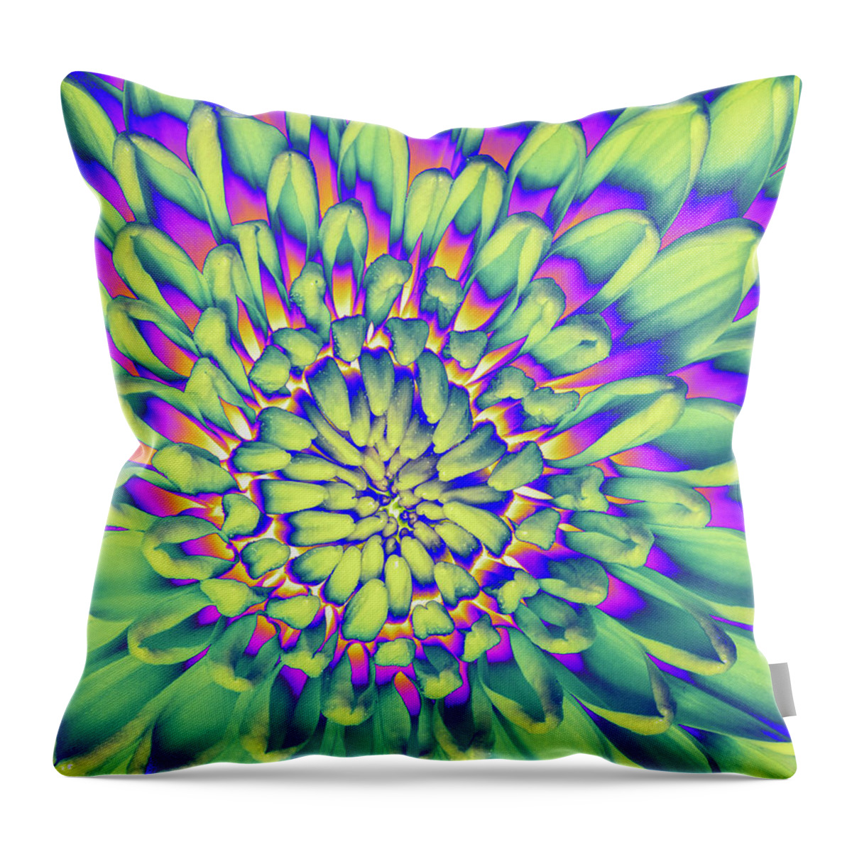 Abstract Throw Pillow featuring the photograph Colored Mum - Vertical by Elvira Peretsman