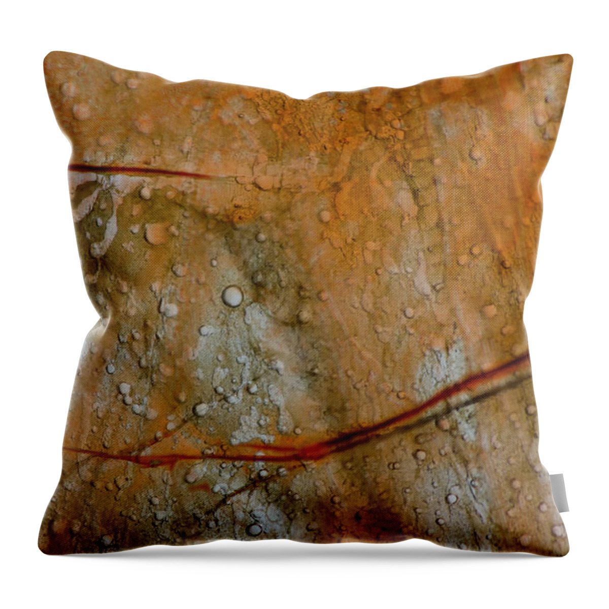 Abstract Throw Pillow featuring the photograph Colored Thin Ice Abstract by Charles Floyd