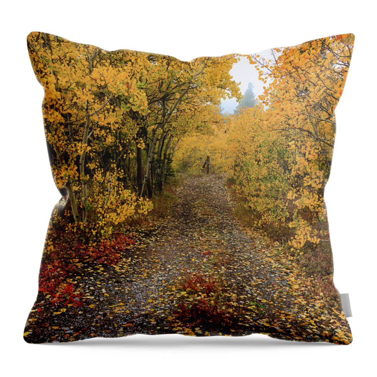Path Throw Pillow featuring the photograph Colorful Autumn Path by James BO Insogna