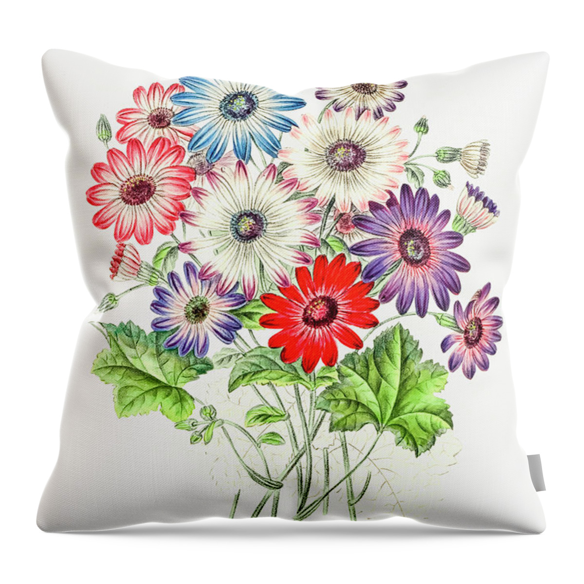 Colorful Chrysanthemums Throw Pillow featuring the painting Colorful Chrysanthemums by Mango Art