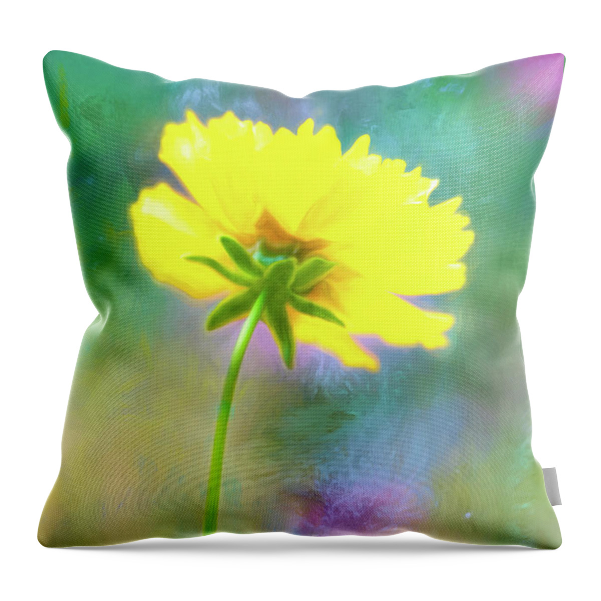 Coreopsis Throw Pillow featuring the photograph Colorful Coreopsis by Anita Pollak