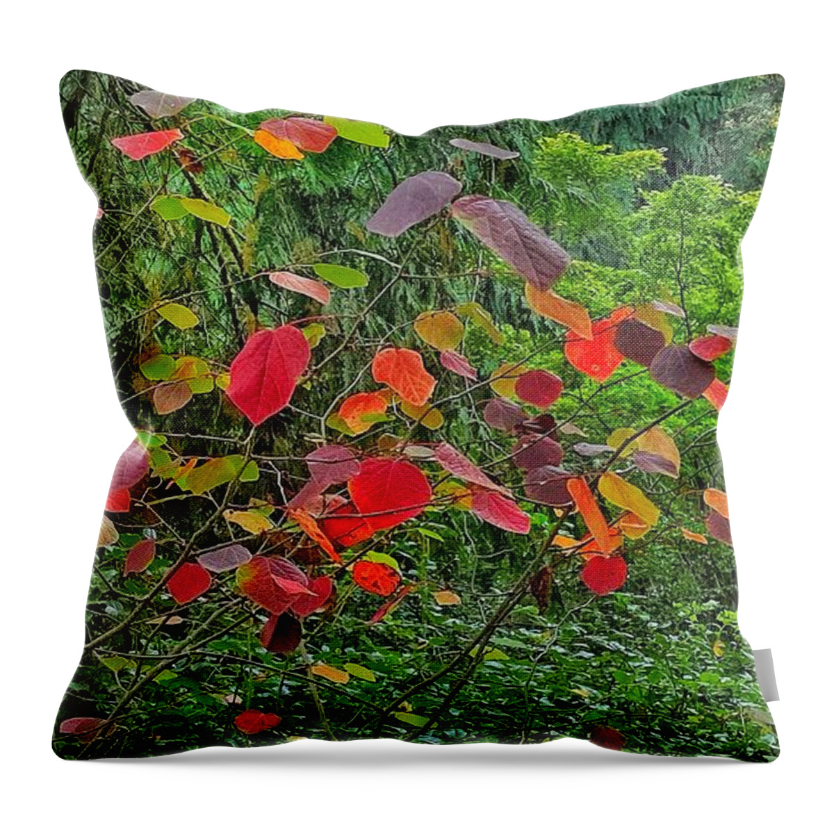 Autumn Throw Pillow featuring the photograph Colorful Fall Leaves by Jerry Abbott