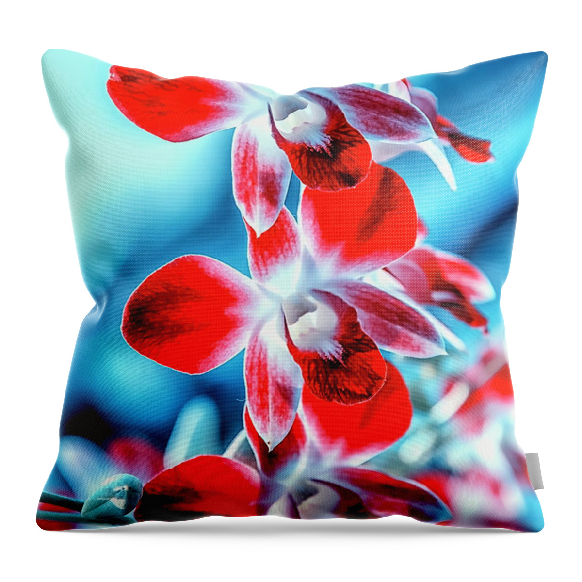 Background Throw Pillow featuring the photograph Colorful Flowers by Manjik Pictures
