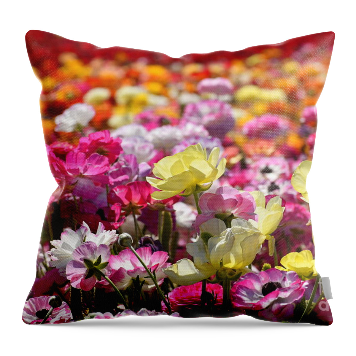 Flowers Throw Pillow featuring the photograph Colorful Flowers by Rich Cruse