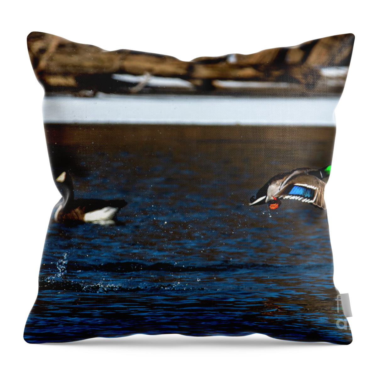 Goose Throw Pillow featuring the photograph Colorful Goose and Duck by Sandra J's