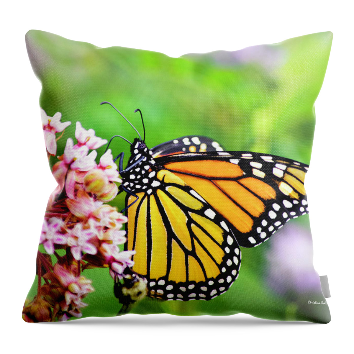 Butterflies Throw Pillow featuring the photograph Colorful Monarch Butterfly by Christina Rollo