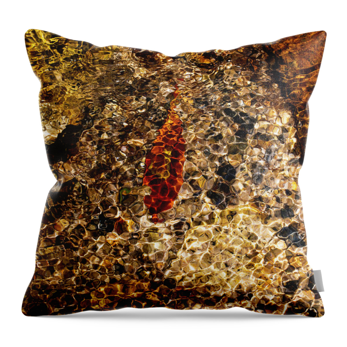 North Carolina (nc) Throw Pillow featuring the photograph Colorful Mountain Creek Bed by Charles Floyd