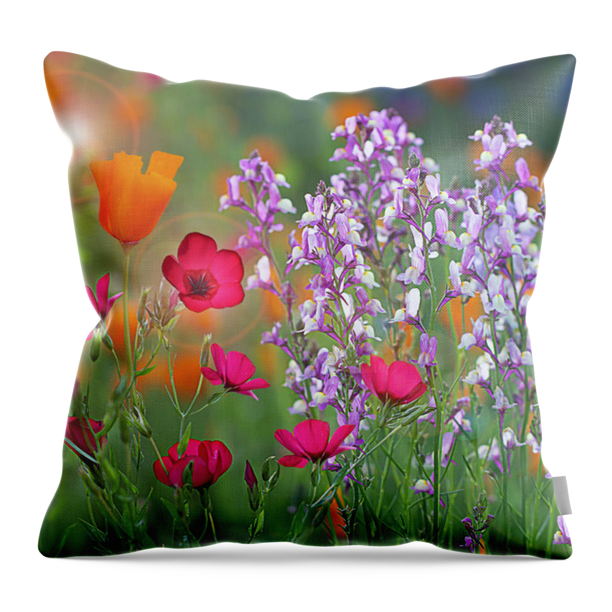 Spring Throw Pillow featuring the photograph Colors of Spring by Vanessa Thomas
