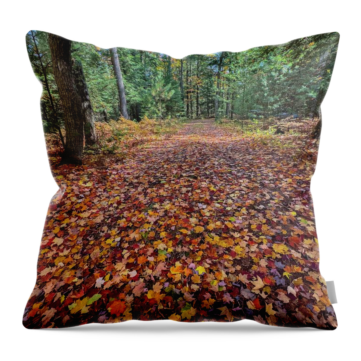 Tahquamenon Falls Throw Pillow featuring the photograph Colors up the Driveway IMG_5873 by Michael Thomas