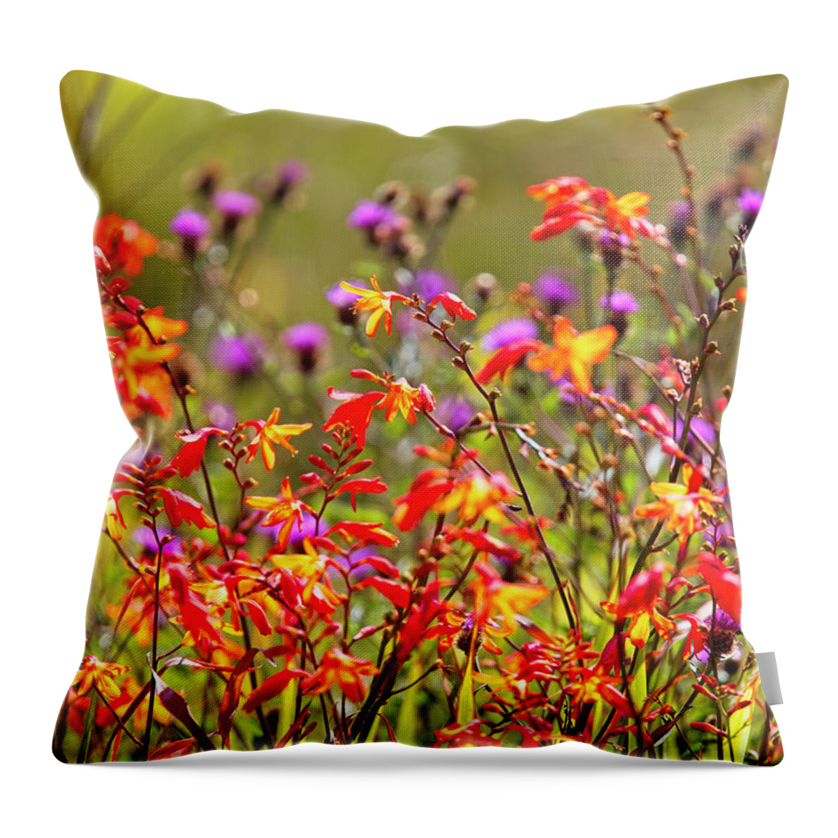 Wildflower Throw Pillow featuring the photograph Colourful wildflowers by Tony Mills