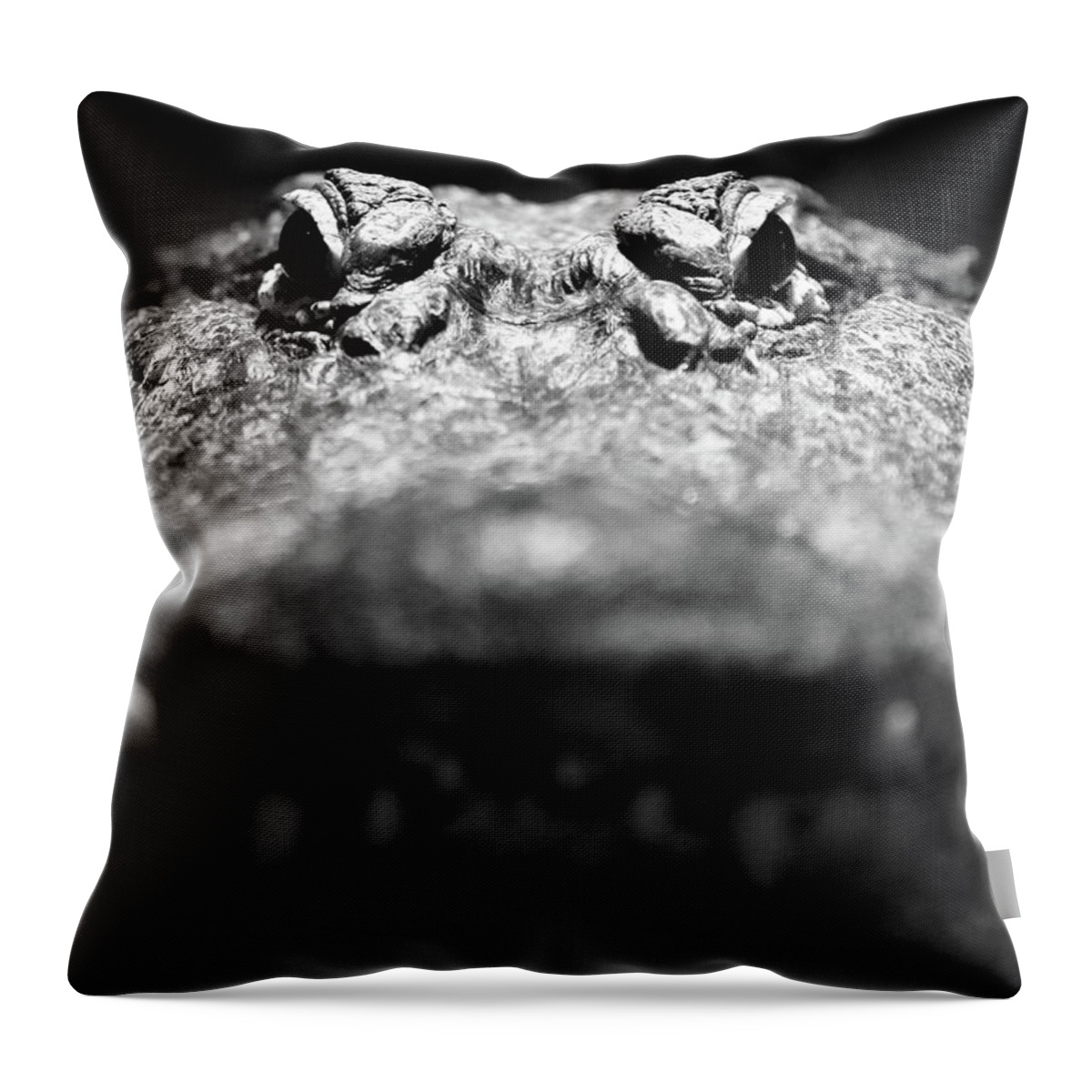 Reptile Throw Pillow featuring the photograph Come A Little Closer by Lens Art Photography By Larry Trager