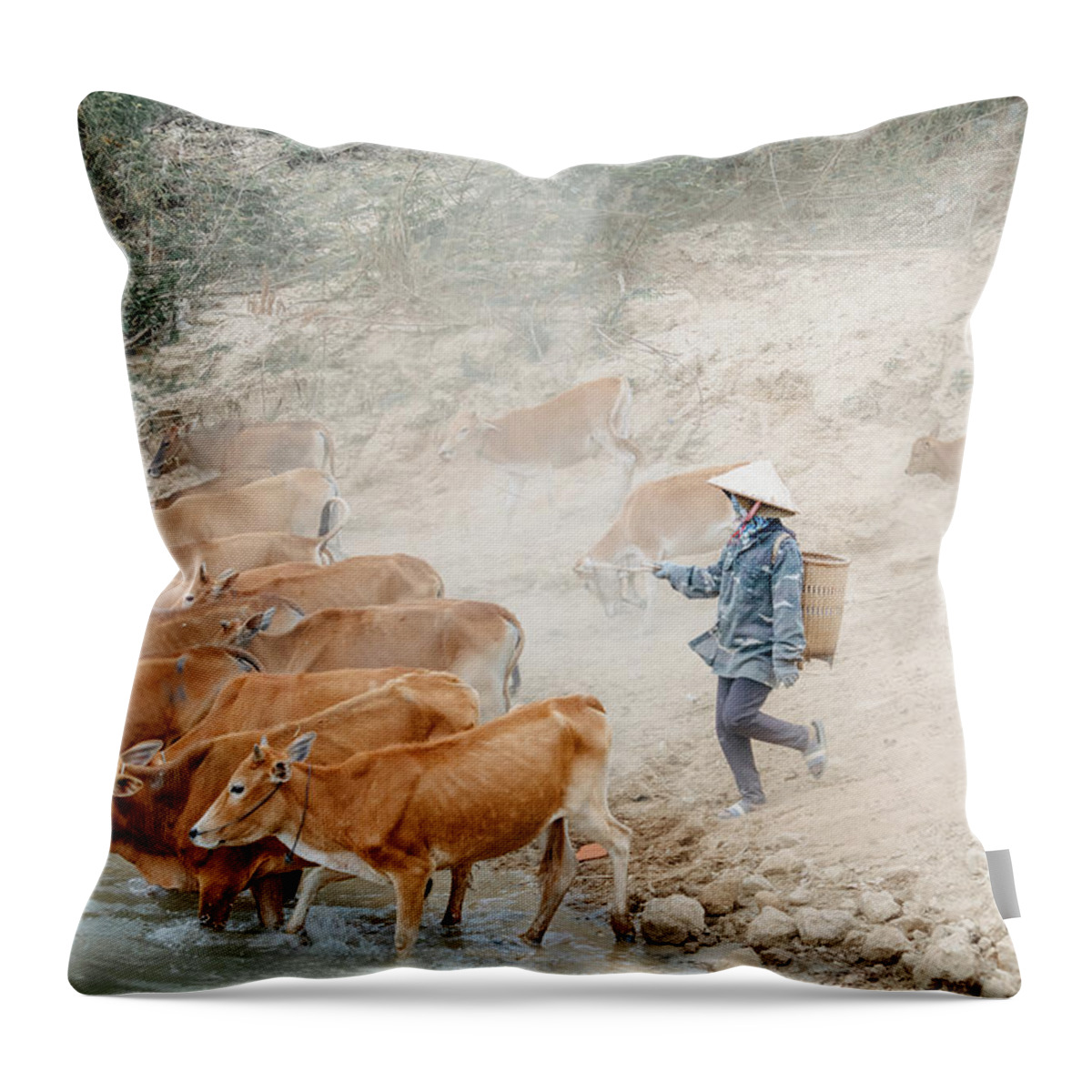 Awesome Throw Pillow featuring the photograph Come Back Center Highland by Khanh Bui Phu