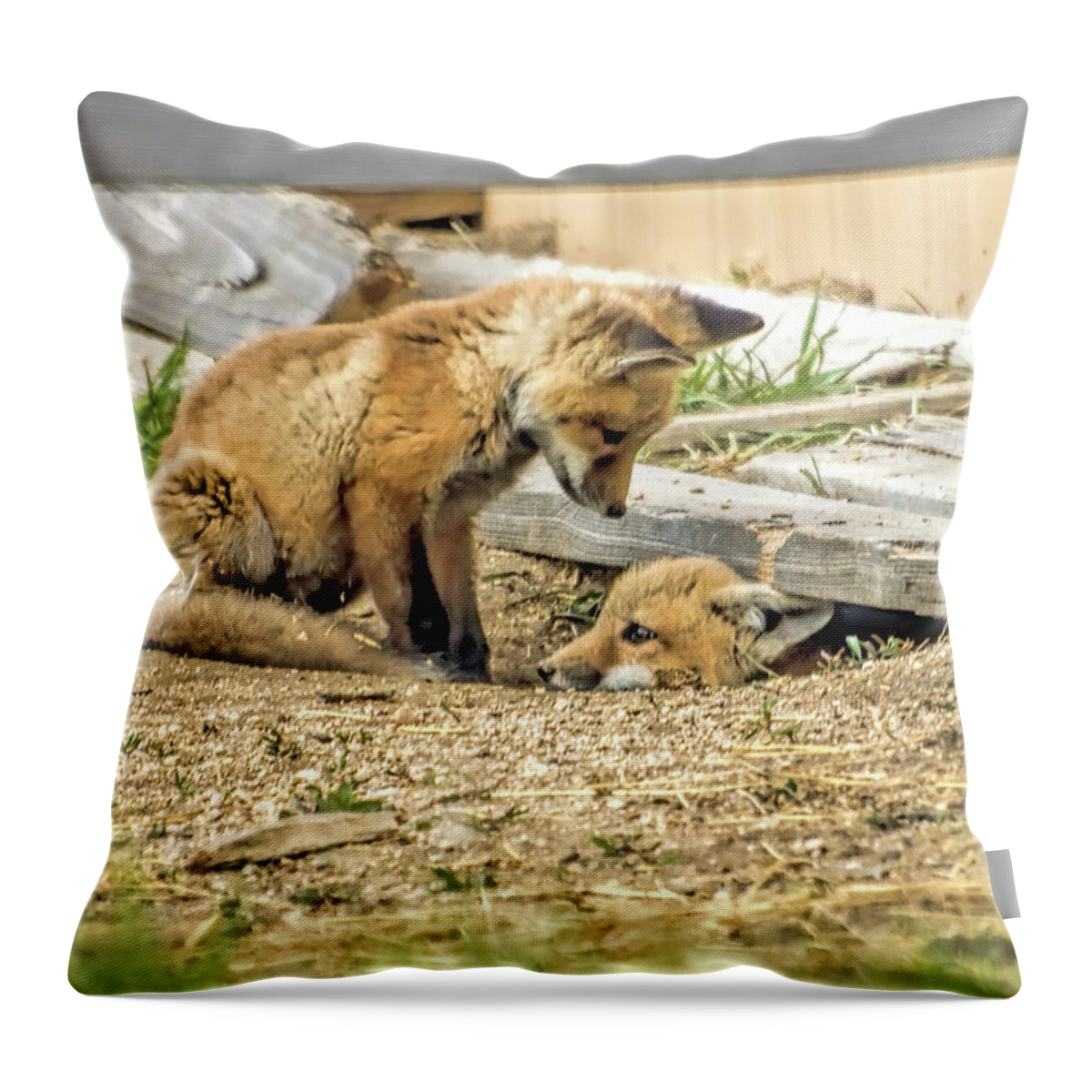 Fox Throw Pillow featuring the photograph Come Out and Play by Alana Thrower
