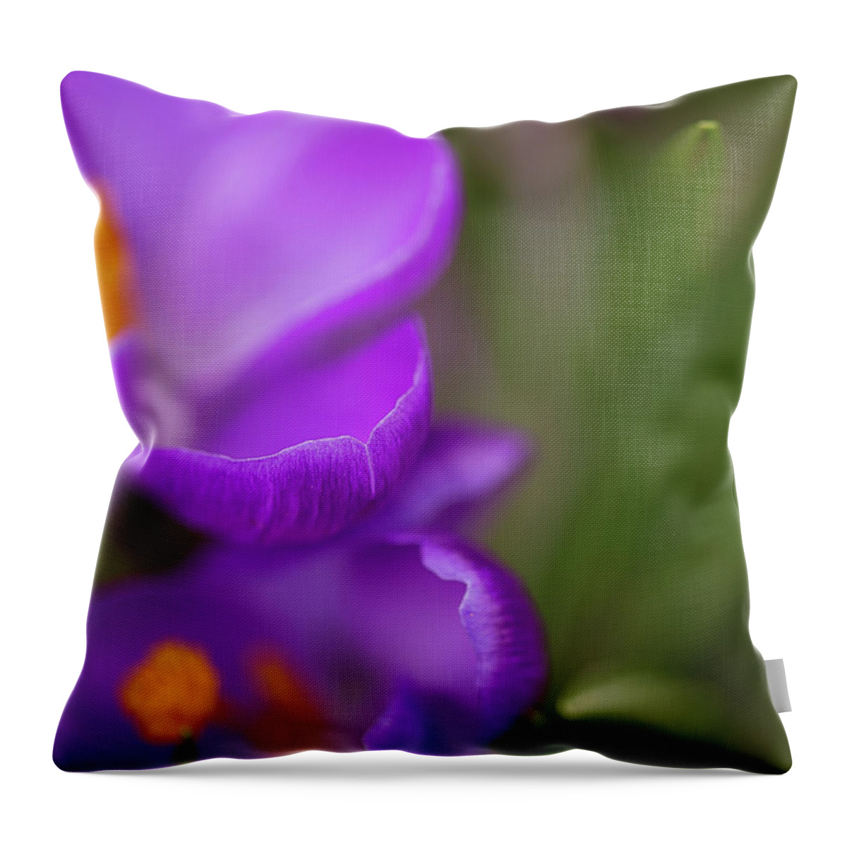 Purple Crocuses Throw Pillow featuring the photograph Come unto me by Kunal Mehra