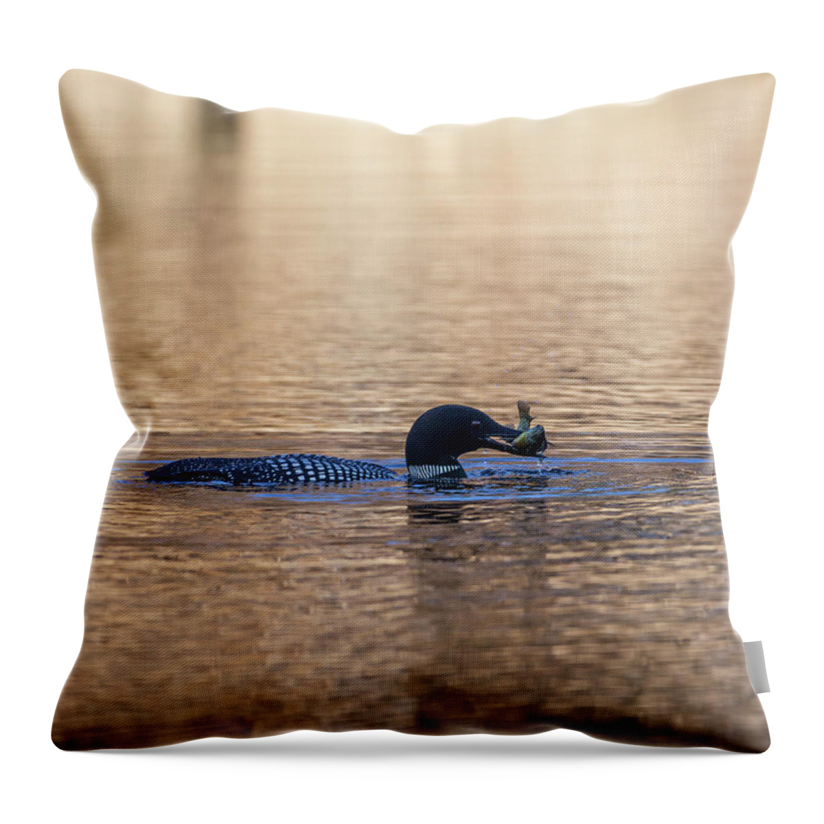 Common Loon Throw Pillow featuring the photograph Common Loon With A Fish 2019-2 by Thomas Young