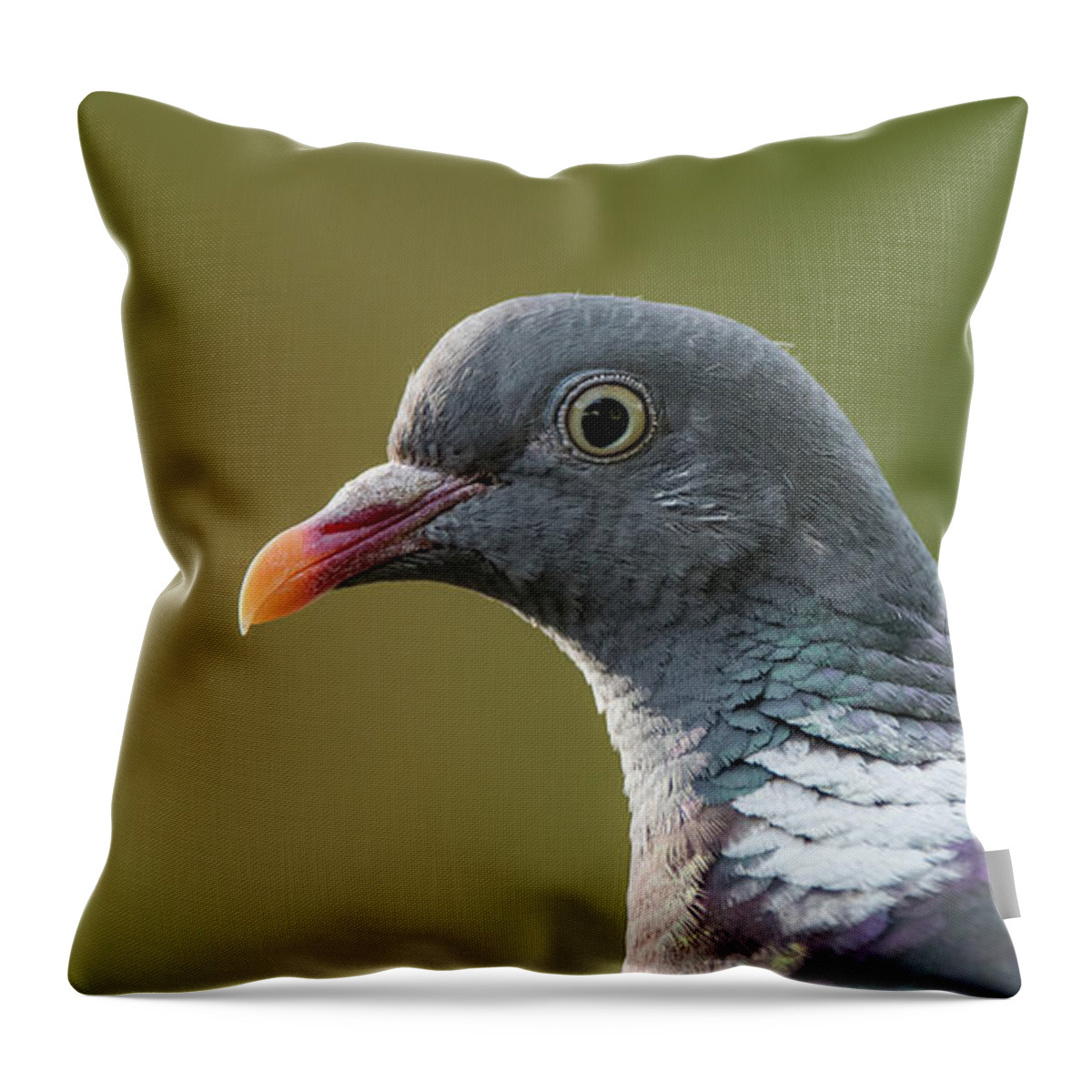 Common Wood Pigeon Throw Pillow featuring the photograph Common Wood Pigeon s portrait by Torbjorn Swenelius