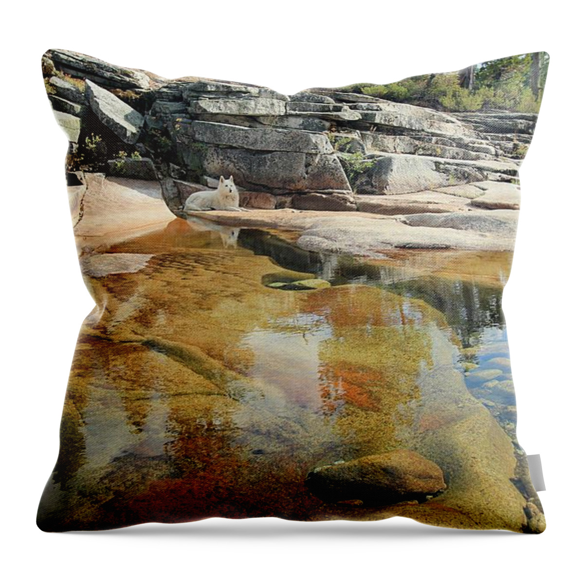 Sekani Throw Pillow featuring the photograph Communion by Sean Sarsfield
