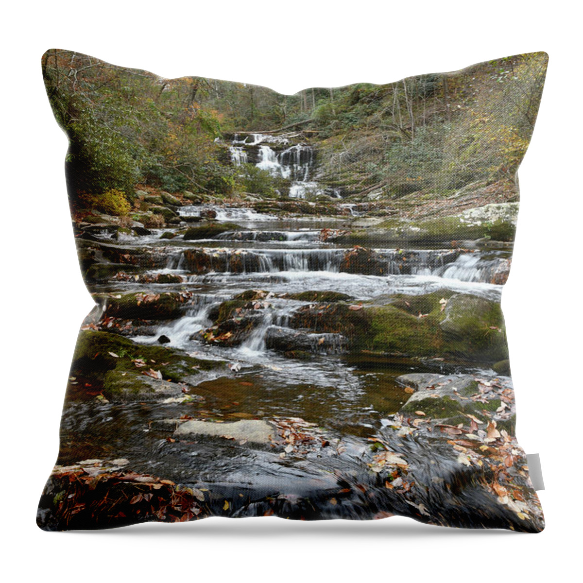 Conasauga Falls Throw Pillow featuring the photograph Conasauga Falls 8 by Phil Perkins