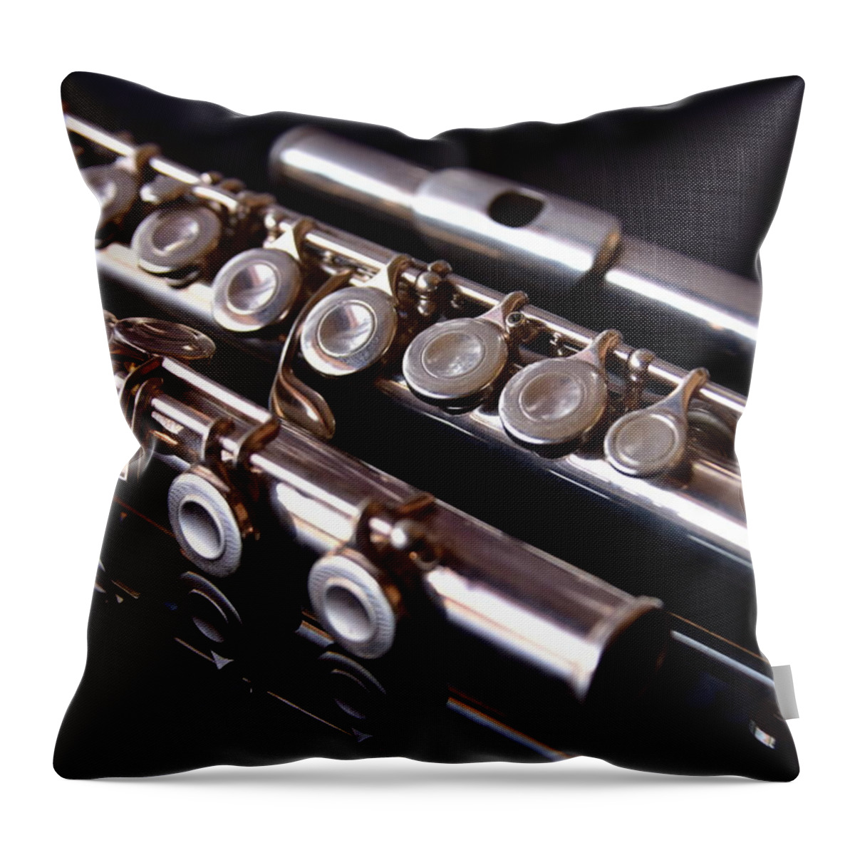 Concert Flute Throw Pillow featuring the photograph Concert Flute by Neil R Finlay