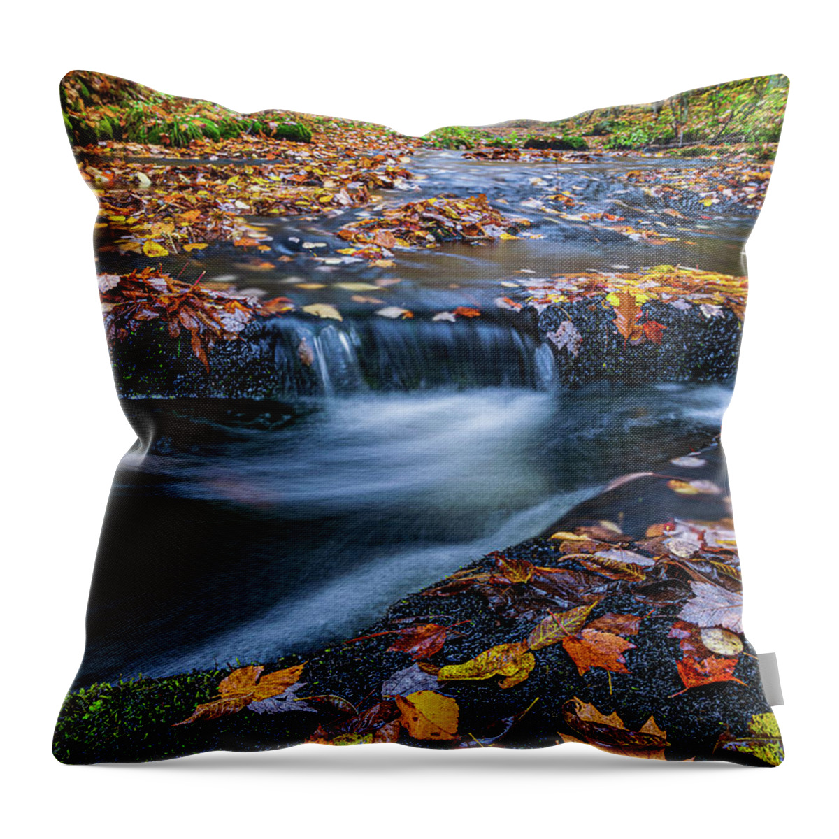 Fall Throw Pillow featuring the photograph Confetti by Flowstate Photography