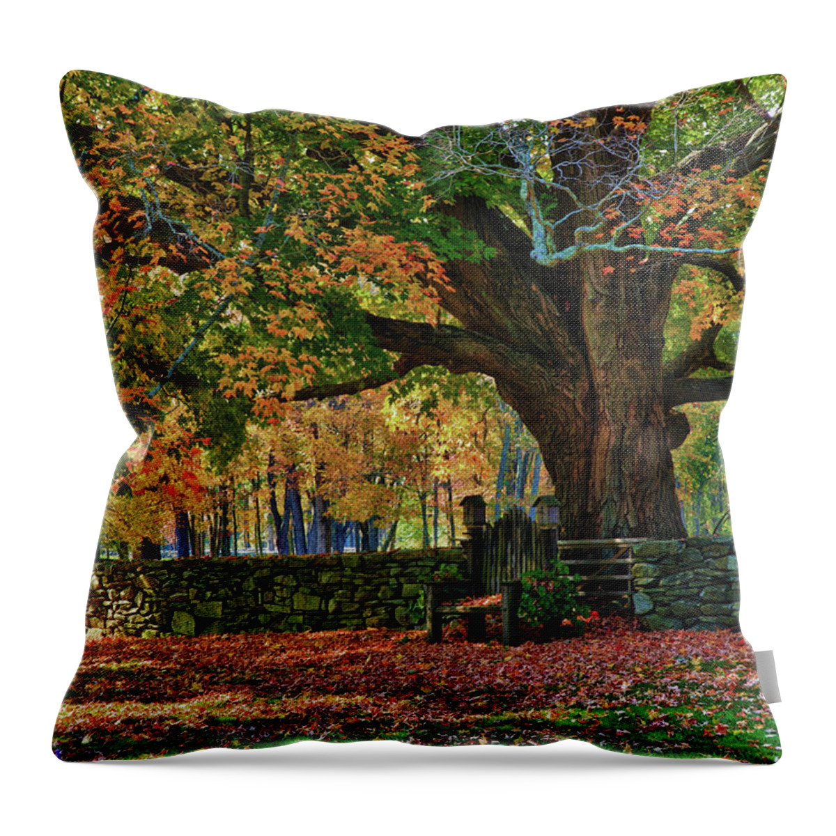 Autumn Throw Pillow featuring the photograph Connecticut fall colors by Jeff Folger