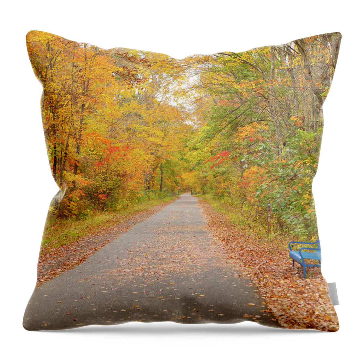 Connecticut Throw Pillow featuring the photograph Connecticut Foliage_8057 by Rocco Leone