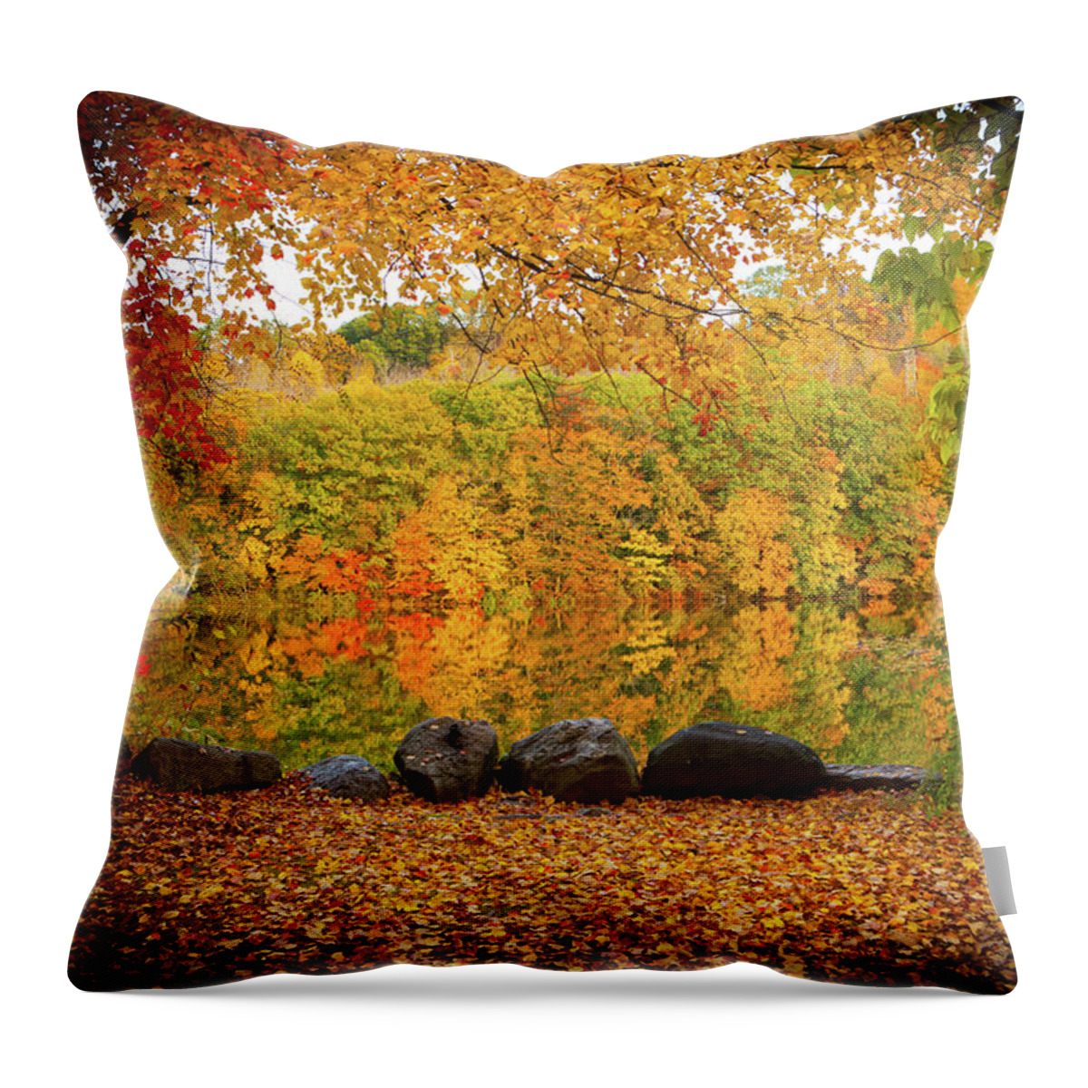 Foliage Throw Pillow featuring the photograph Connecticut_Foliage_8225 by Rocco Leone
