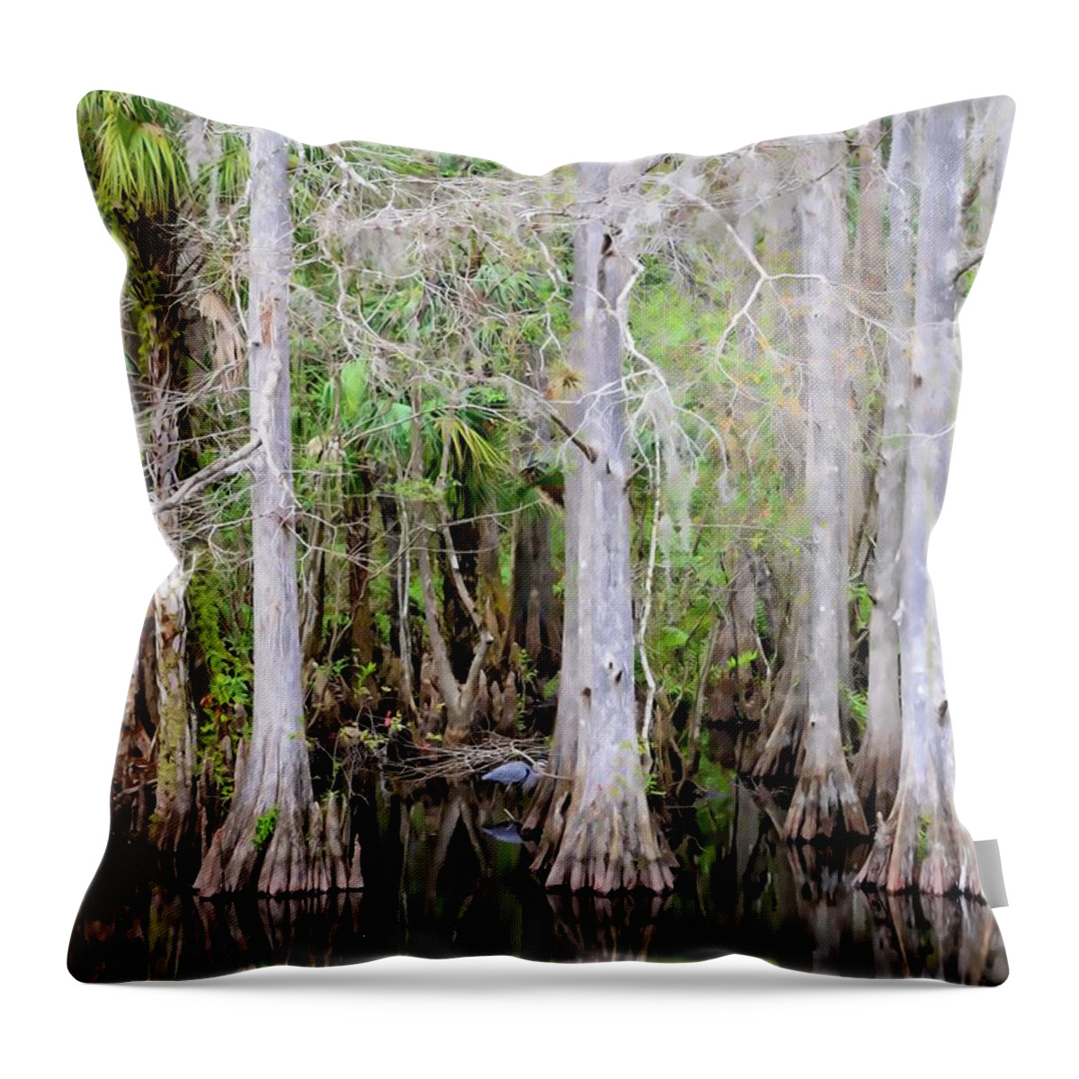 Conservation Land Throw Pillow featuring the photograph Conservation Land by Alison Belsan Horton