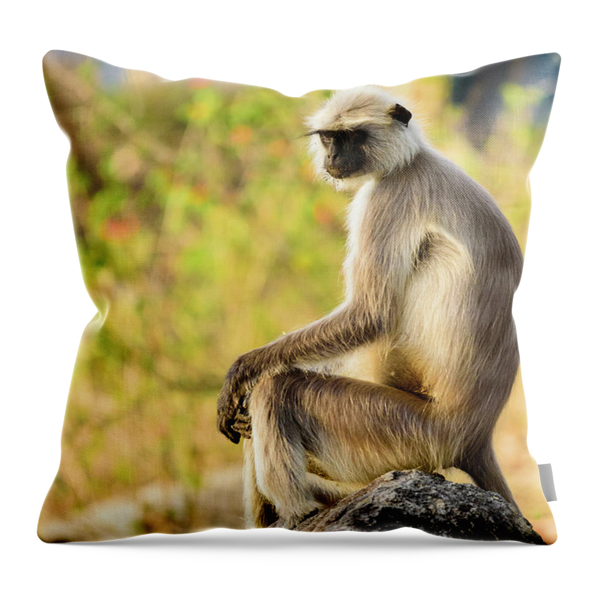 India Throw Pillow featuring the photograph Contemplating Langur by Adrian O Brien