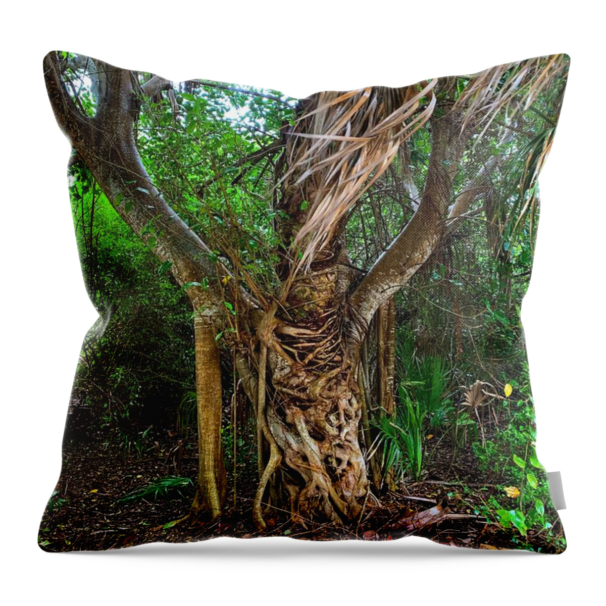 Tree Throw Pillow featuring the photograph Cool Tree by Vicki Lewis