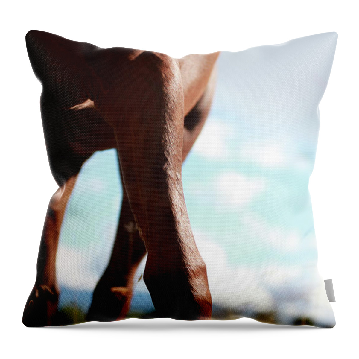 Autumn Throw Pillow featuring the photograph Copper Legs by Listen To Your Horse