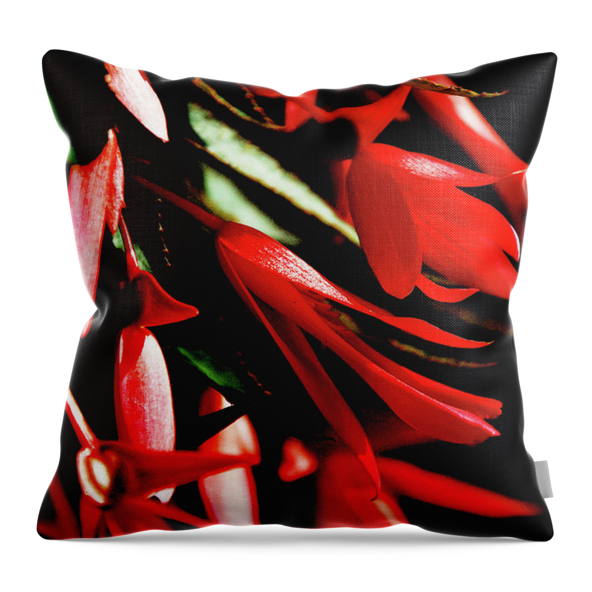 Floral Throw Pillow featuring the photograph Coral Beauty by Simone Hester