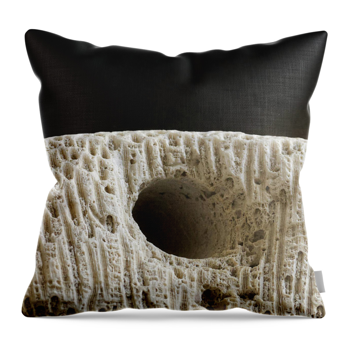 Coral Throw Pillow featuring the photograph Coral Macro by Phil Perkins