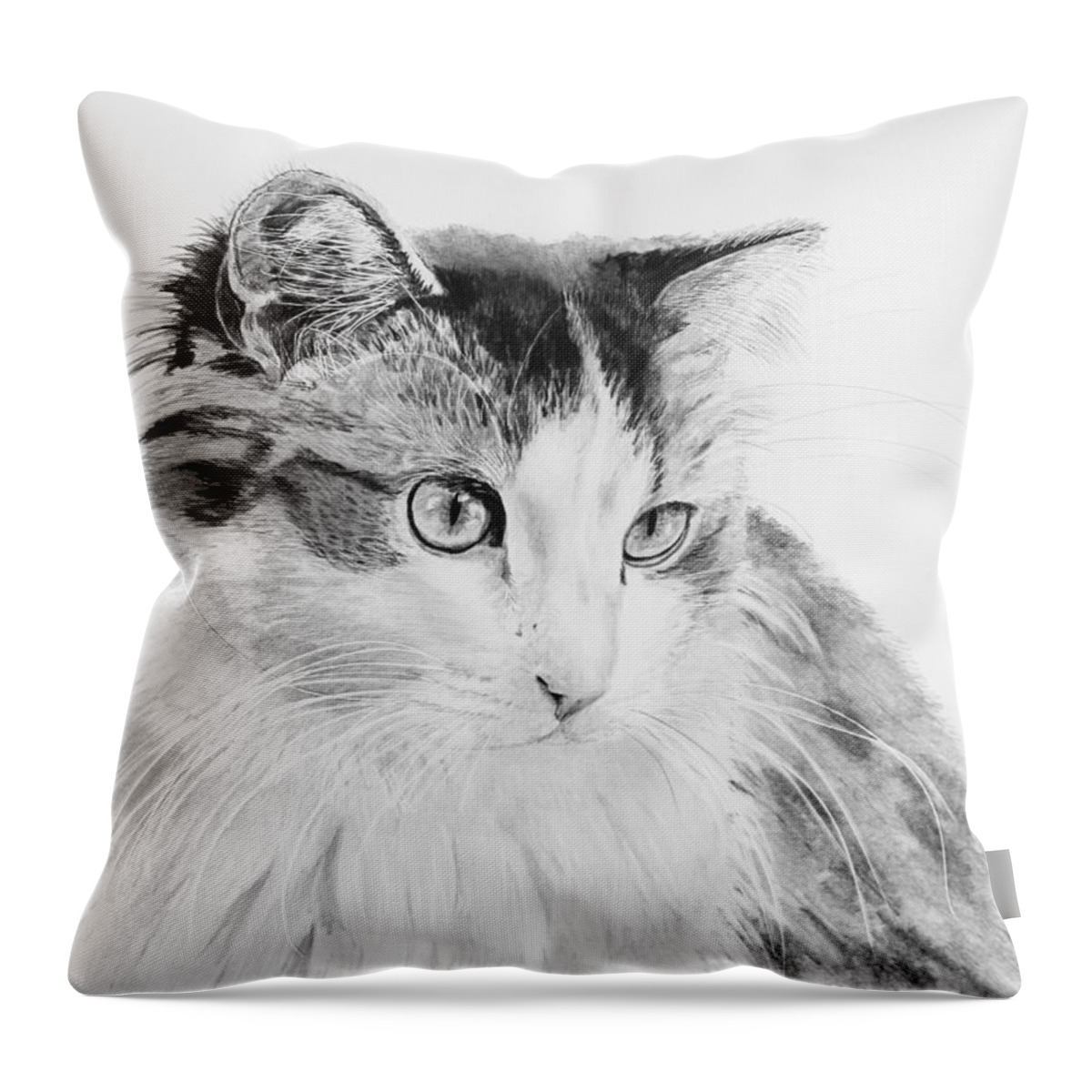 Cat Throw Pillow featuring the drawing Cordova by Gigi Dequanne