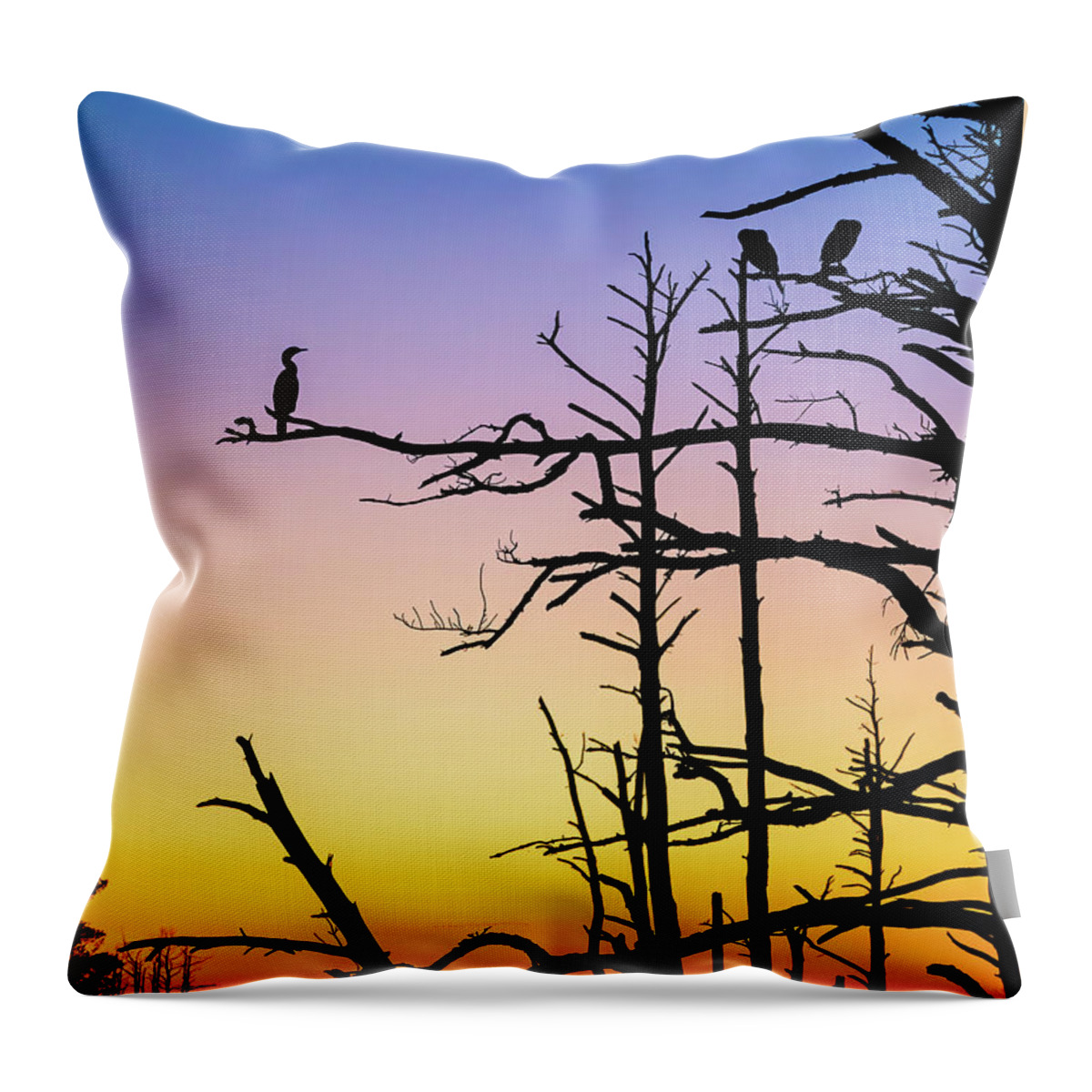 Chincoteague Throw Pillow featuring the photograph Cormorant Sunset by Rachel Morrison