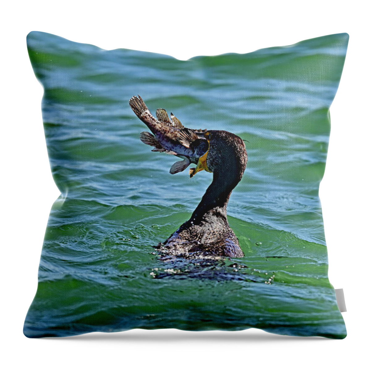 Bird Throw Pillow featuring the photograph Cormorant Swallowing Large Fish by Amazing Action Photo Video