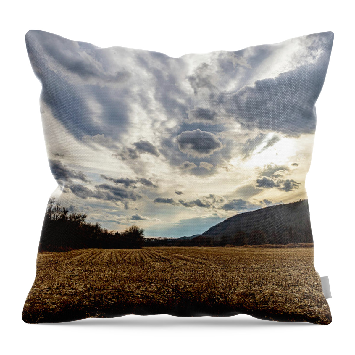 Pennsylvania Throw Pillow featuring the photograph Corn Fields in Pennsylvania by Amelia Pearn