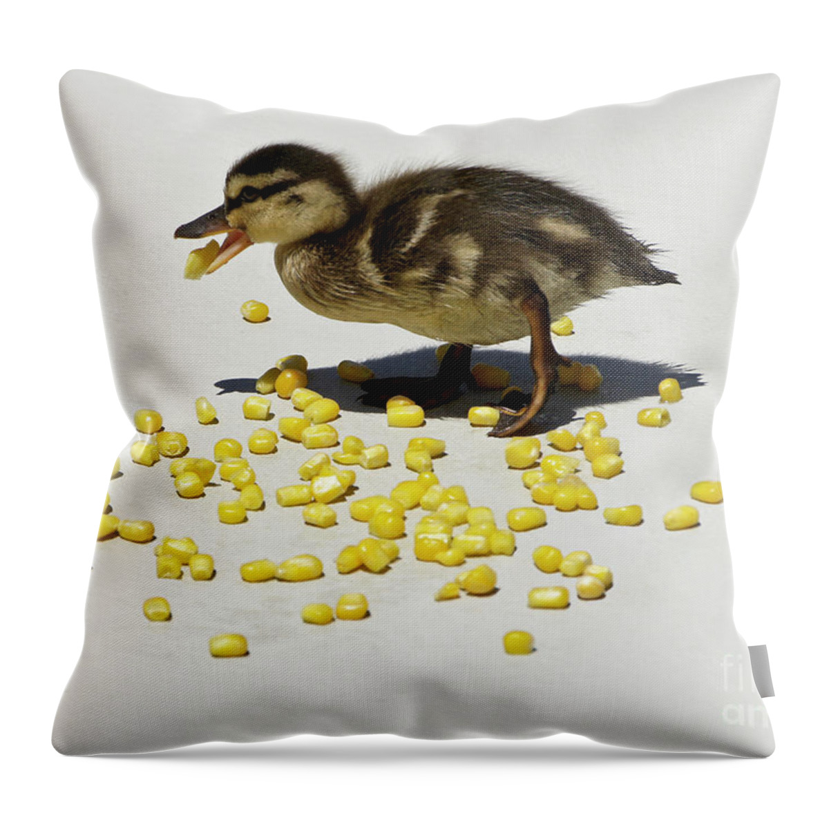 Duck Throw Pillow featuring the photograph Corn is So Yummy by Michele Burgess
