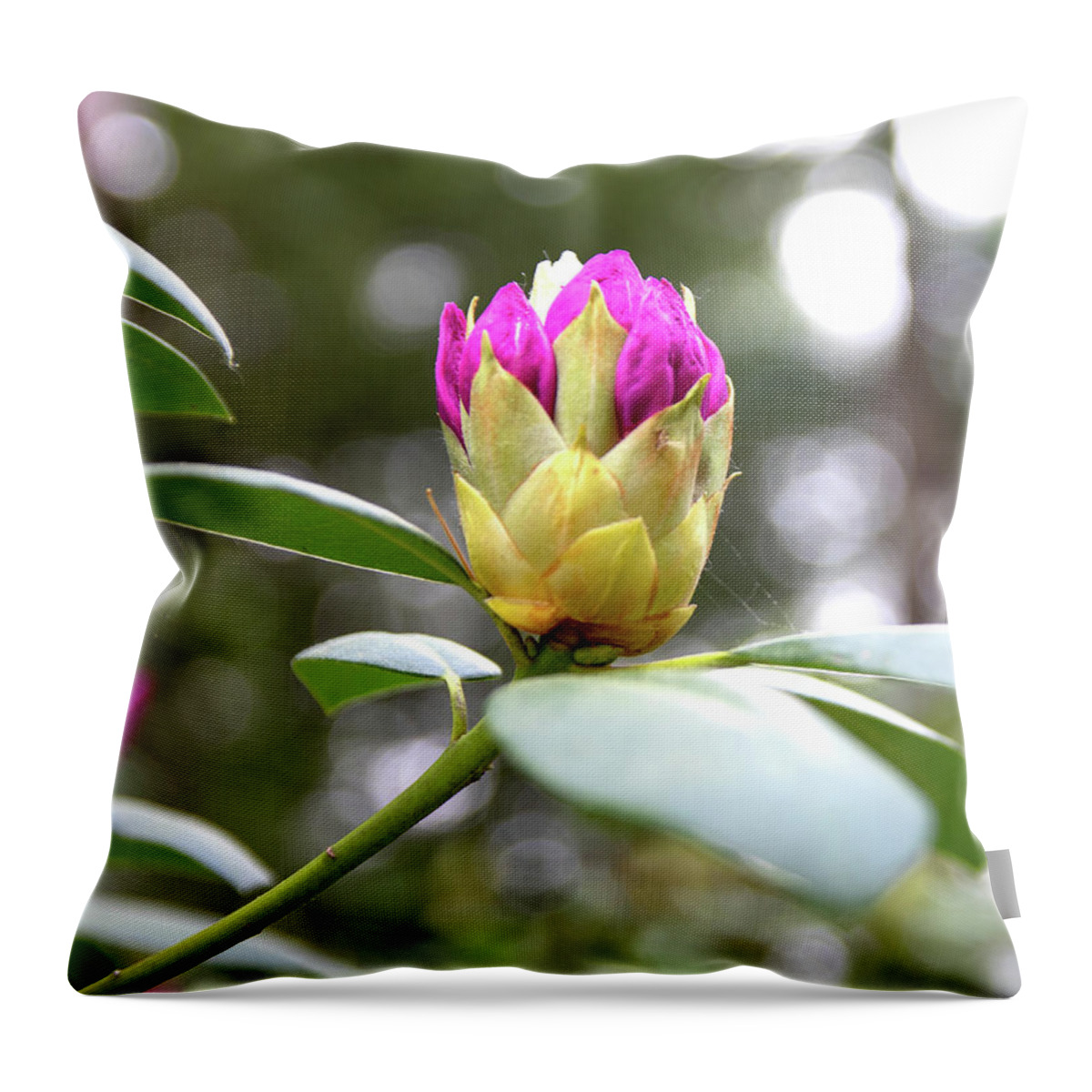 Rhododendron Throw Pillow featuring the photograph Cornell Botanic Gardens #5 by Mindy Musick King